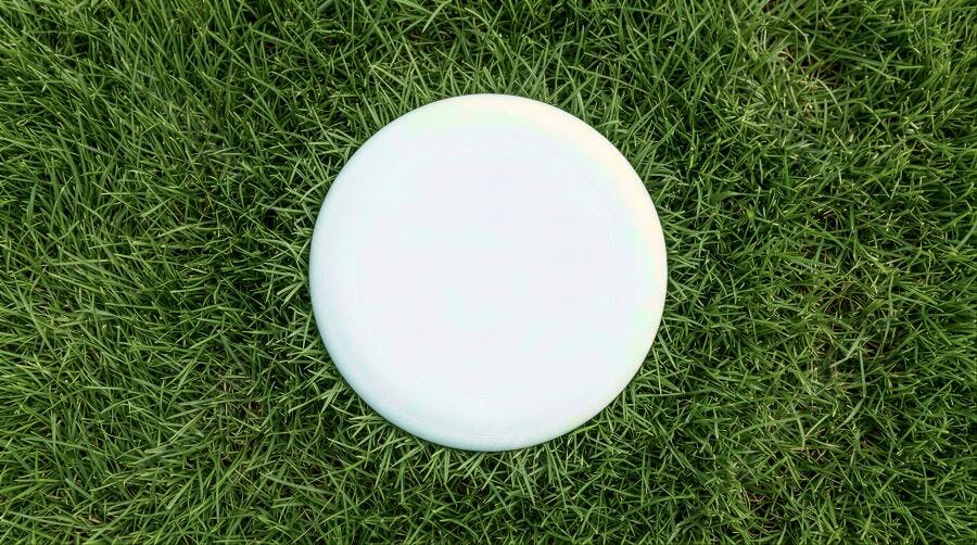 Foto Frisbee Branco Grama Verde Vista Superior Esporte