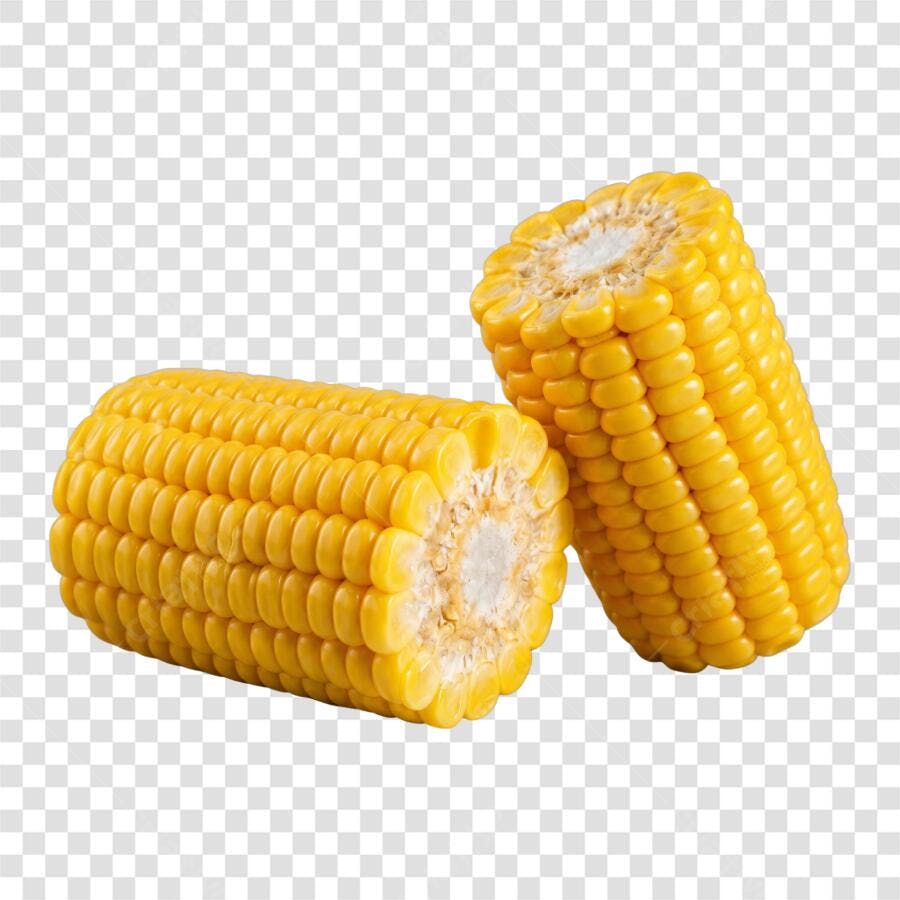Foto Recortada Milho Cozido Festa Junina Junho PNG Fundo Transparente