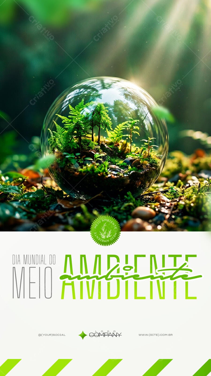 Story Dia Mundial do Meio Ambiente Junho PSD Editável