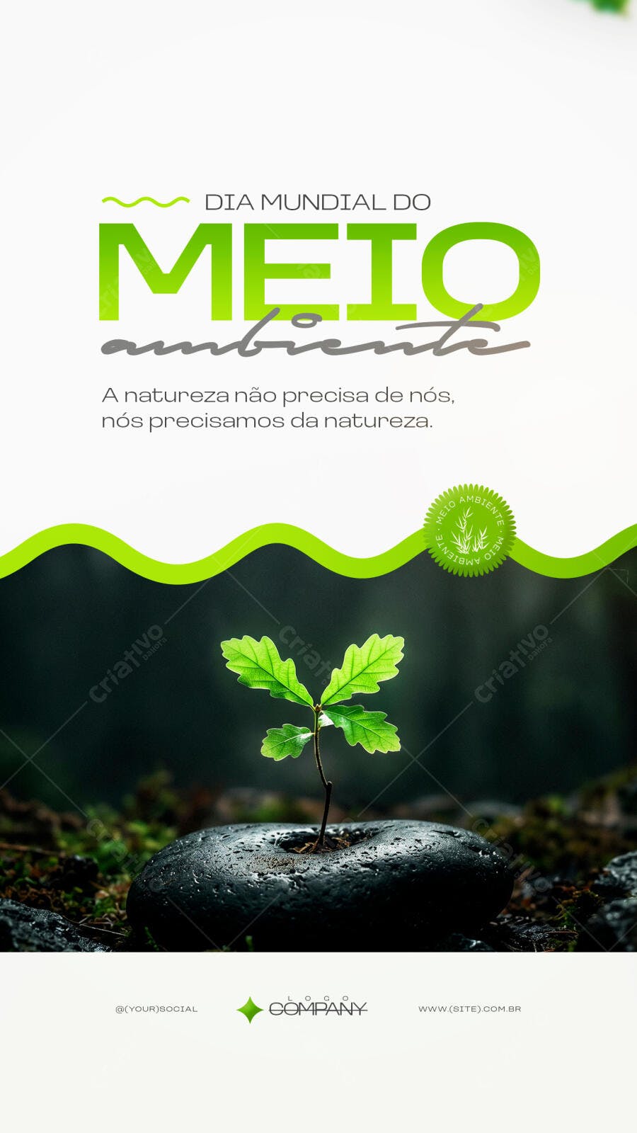 Story Dia Mundial do Meio Ambiente PSD Editável