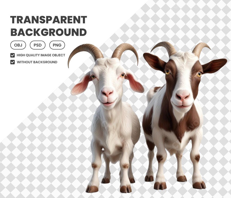 Elemento 3D Duas Cabras Brancas e Marrons PNG Fundo Transparente