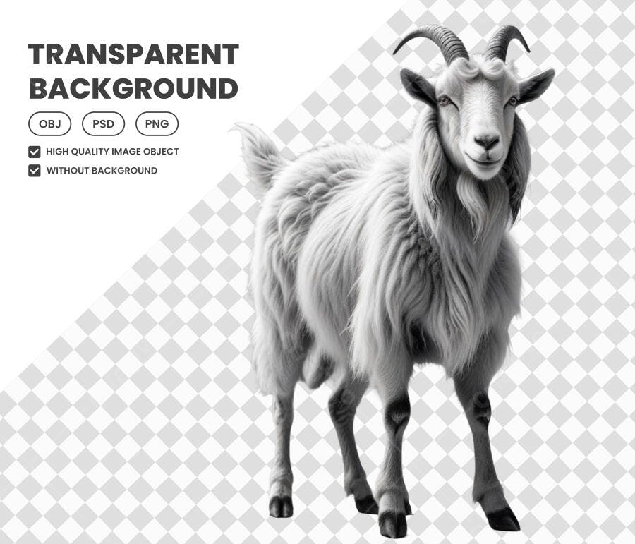 Foto Recortada Cabra Branca Animal Fazenda PNG Fundo Transparente