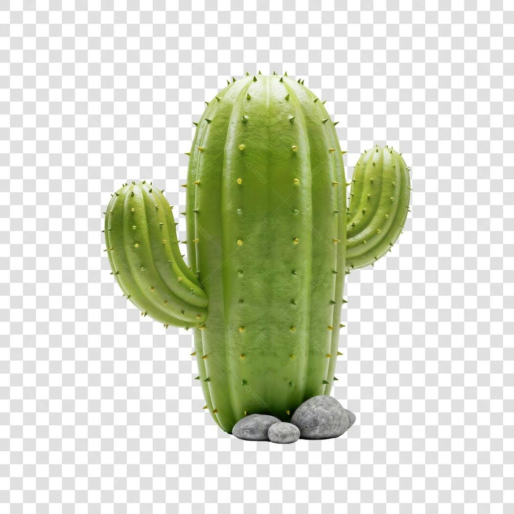 Elemento 3D Cacto Verde com Pedras PNG Fundo Transparente