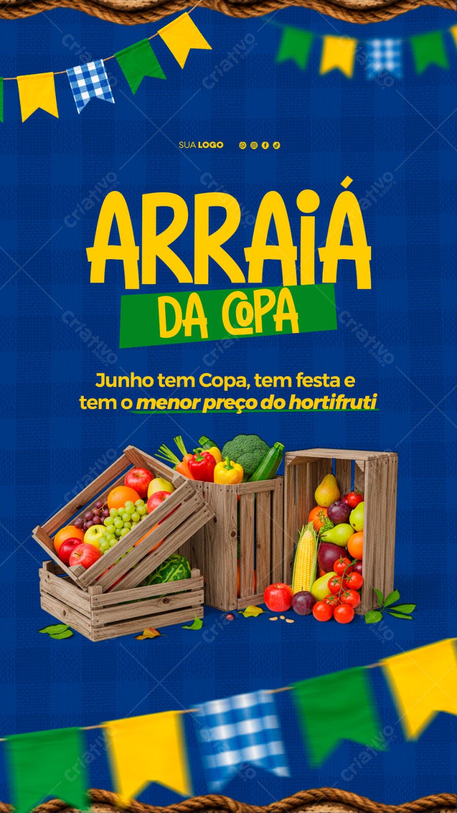ARRAIÁ DA COPA DO MUNDO FUTEBOL BRASIL HOTIFRUTI
