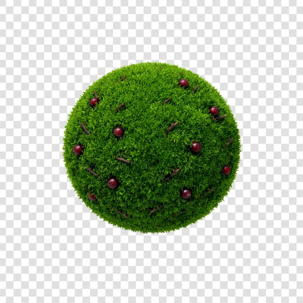 Elemento 3D Bola de Musgo com Frutas Vermelhas PNG Fundo Transparente