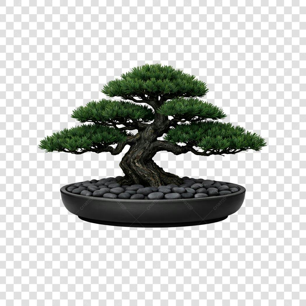 Elemento 3D Bonsai Japonês Vaso Pedras PNG Fundo Transparente