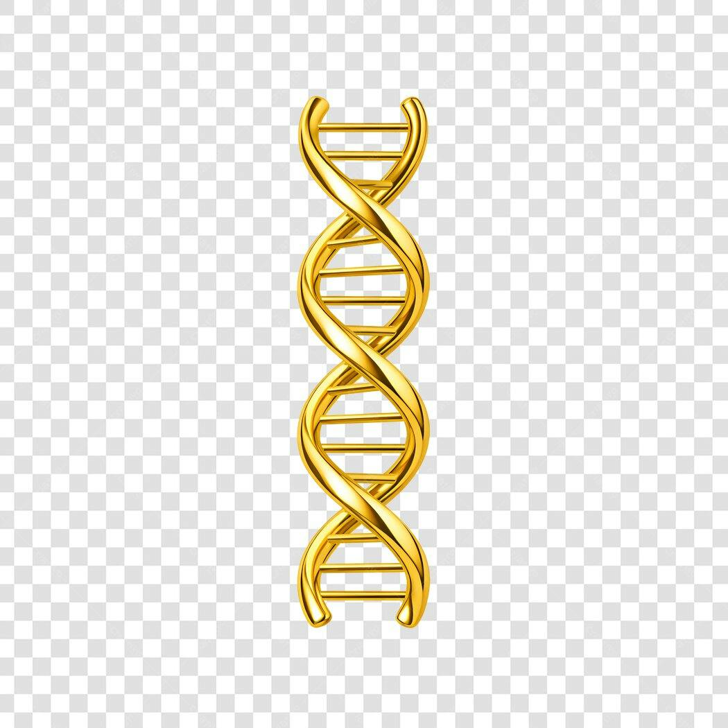 Elemento 3D DNA Dourado Genética Biologia PNG Fundo Transparente