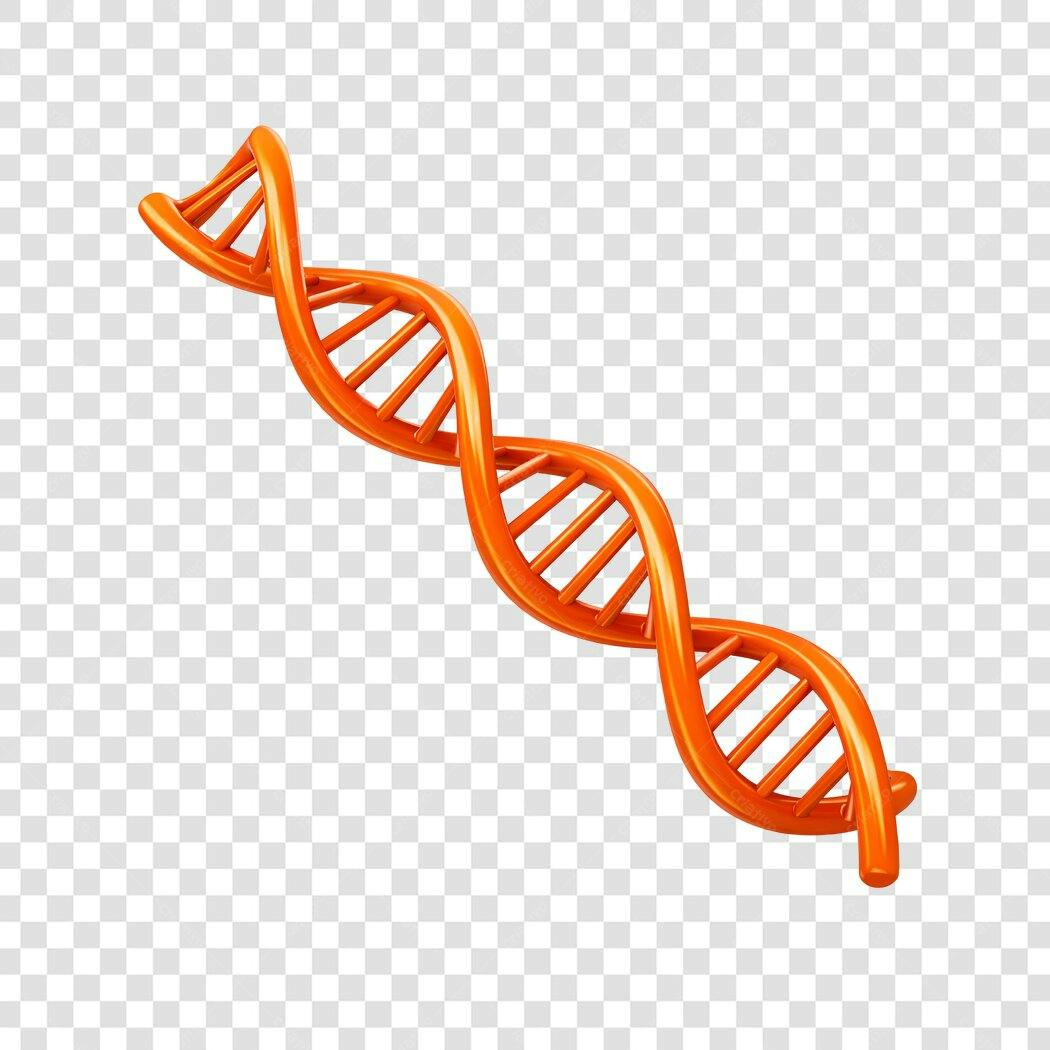 Elemento 3D DNA Laranja Genética Biologia PNG Fundo Transparente