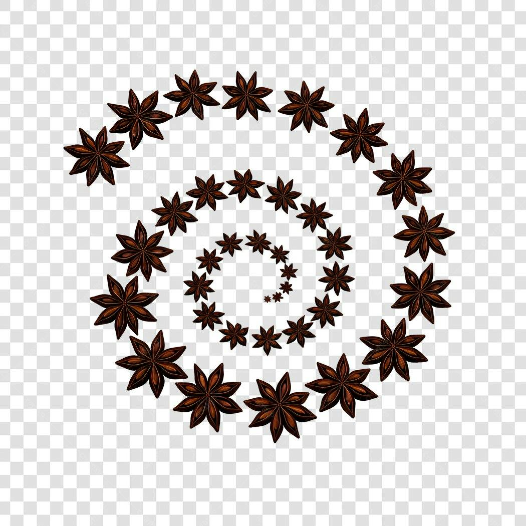 Elemento Decorativo Anis Estrelado Espiral PNG Fundo Transparente