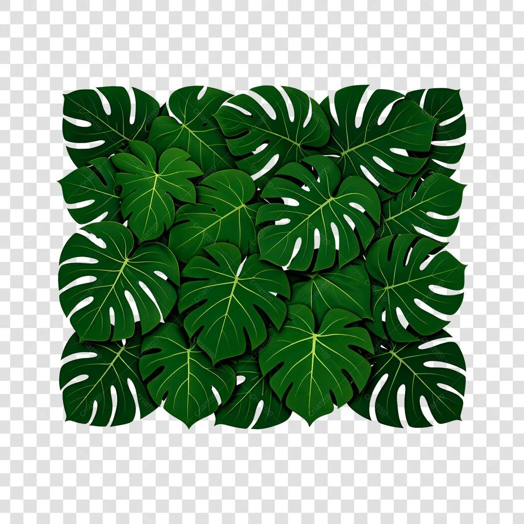 Elemento Decorativo Folhas Monstera Verdes PNG Fundo Transparente