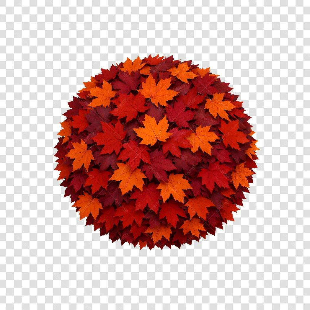 Elemento Decorativo Folhas Outono Vermelhas Laranjas PNG Fundo Transparente