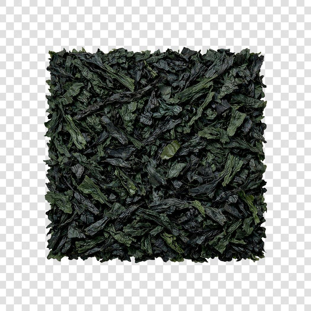 Foto Recortada Algas Marinhas Secas Verdes PNG Fundo Transparente
