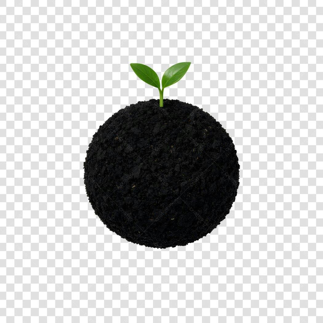 Foto Recortada Broto Verde Terra Redonda PNG Fundo Transparente