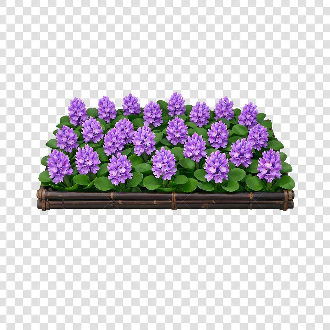 Foto Recortada Canteiro Flores Roxas Bambu PNG Fundo Transparente