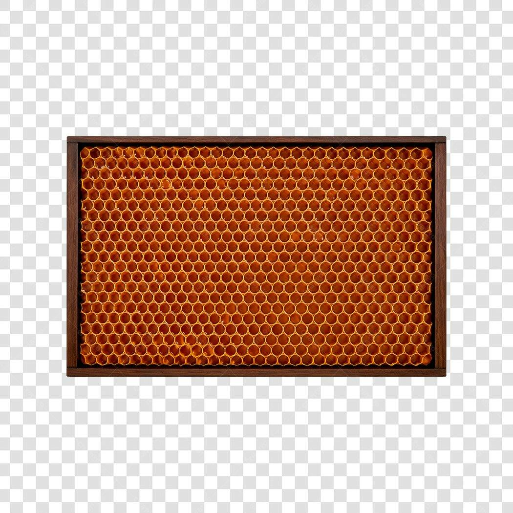 Foto Recortada Colmeia Abelha Mel Moldura PNG Fundo Transparente