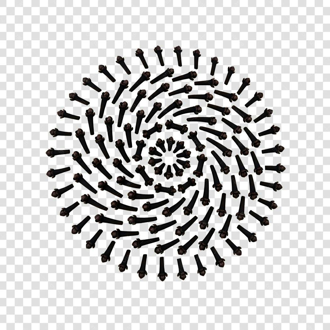 Foto Recortada Cravo da Índia Especiaria PNG Fundo Transparente