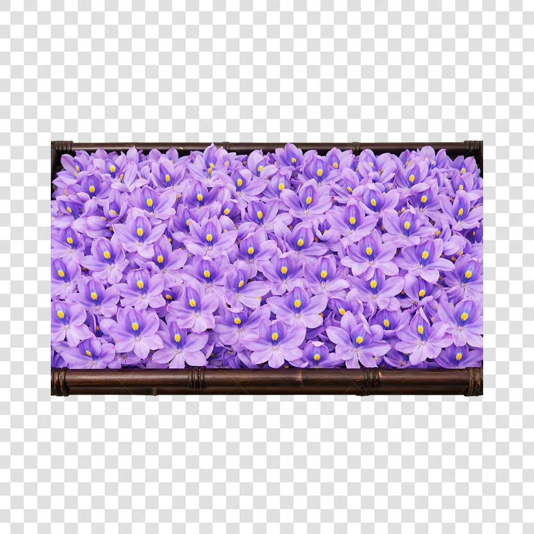 Foto Recortada Flores Roxas Bambu Decoração PNG Fundo Transparente