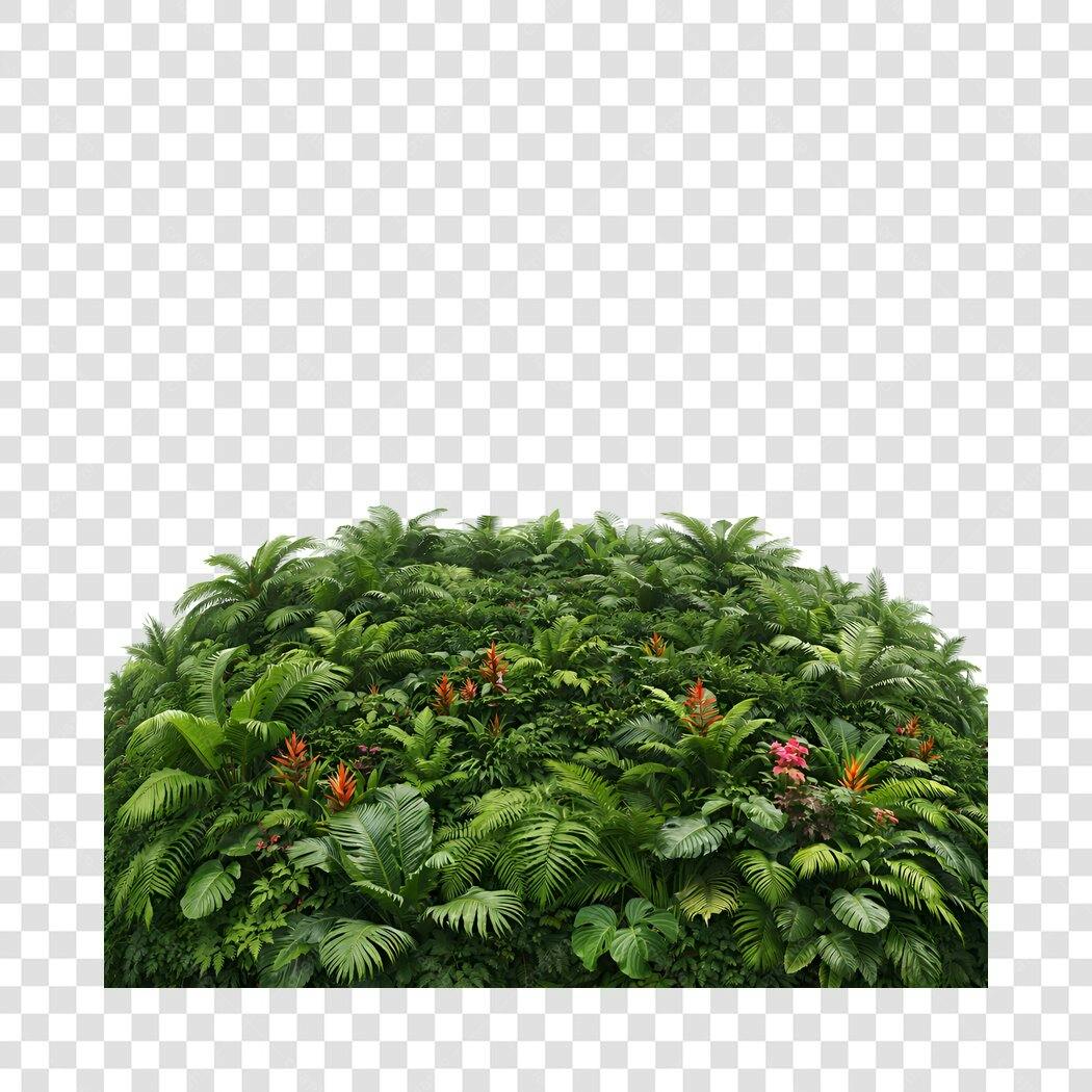 Foto Recortada Folhagem Verde Tropical PNG Fundo Transparente