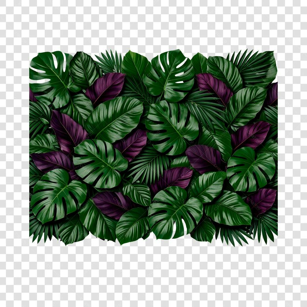 Foto Recortada Folhas Tropicais Verdes Roxas PNG Fundo Transparente