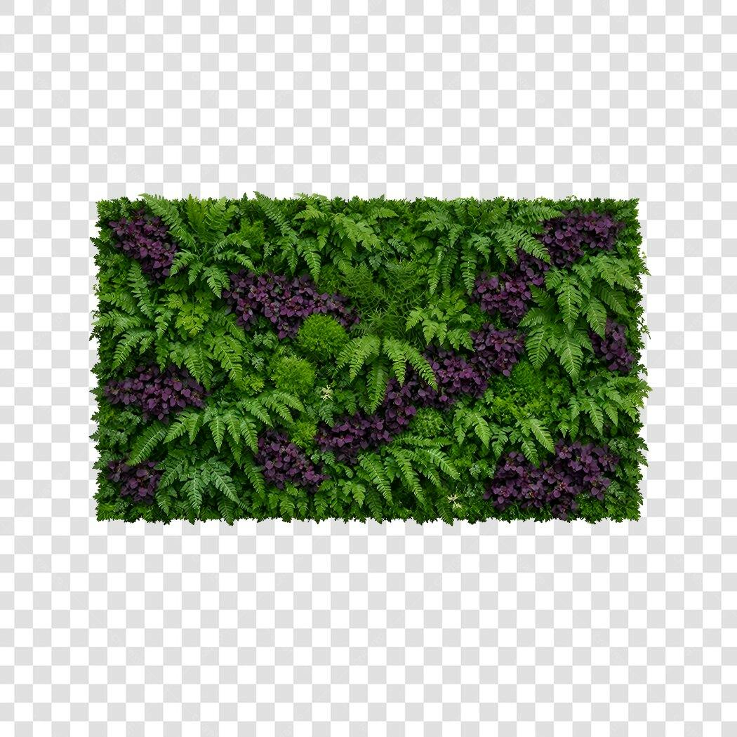 Foto Recortada Jardim Vertical Folhagens Verdes Roxas PNG Fundo Transparente