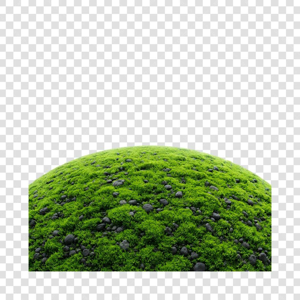 Foto Recortada Monte de Musgo Verde Pedras PNG Fundo Transparente