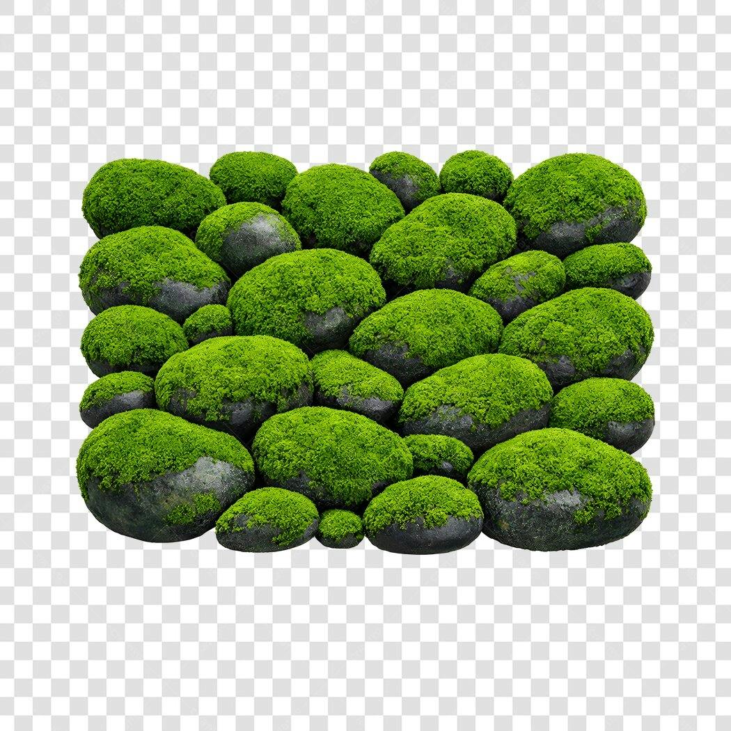 Foto Recortada Pedras com Musgo Verde PNG Fundo Transparente