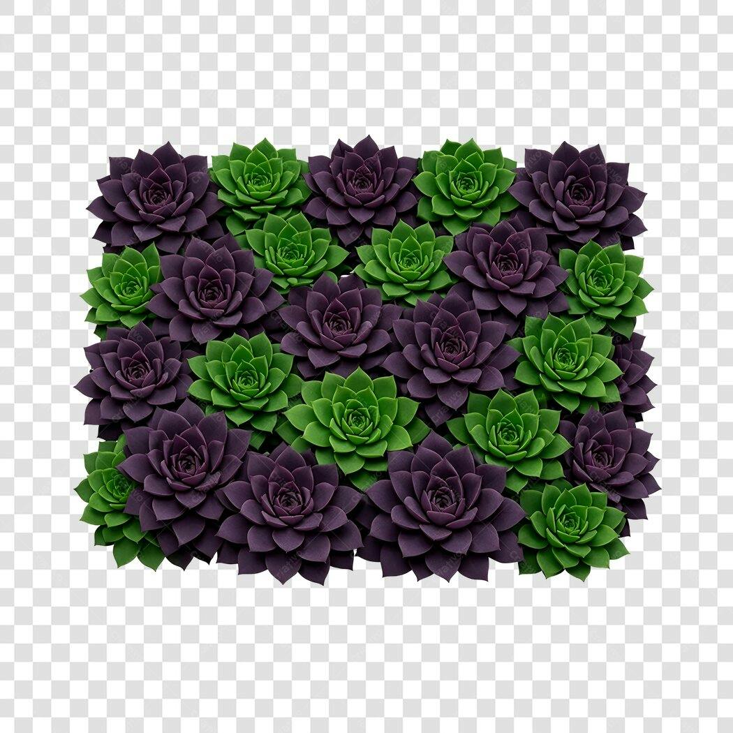 Foto Recortada Suculentas Roxas Verdes PNG Fundo Transparente