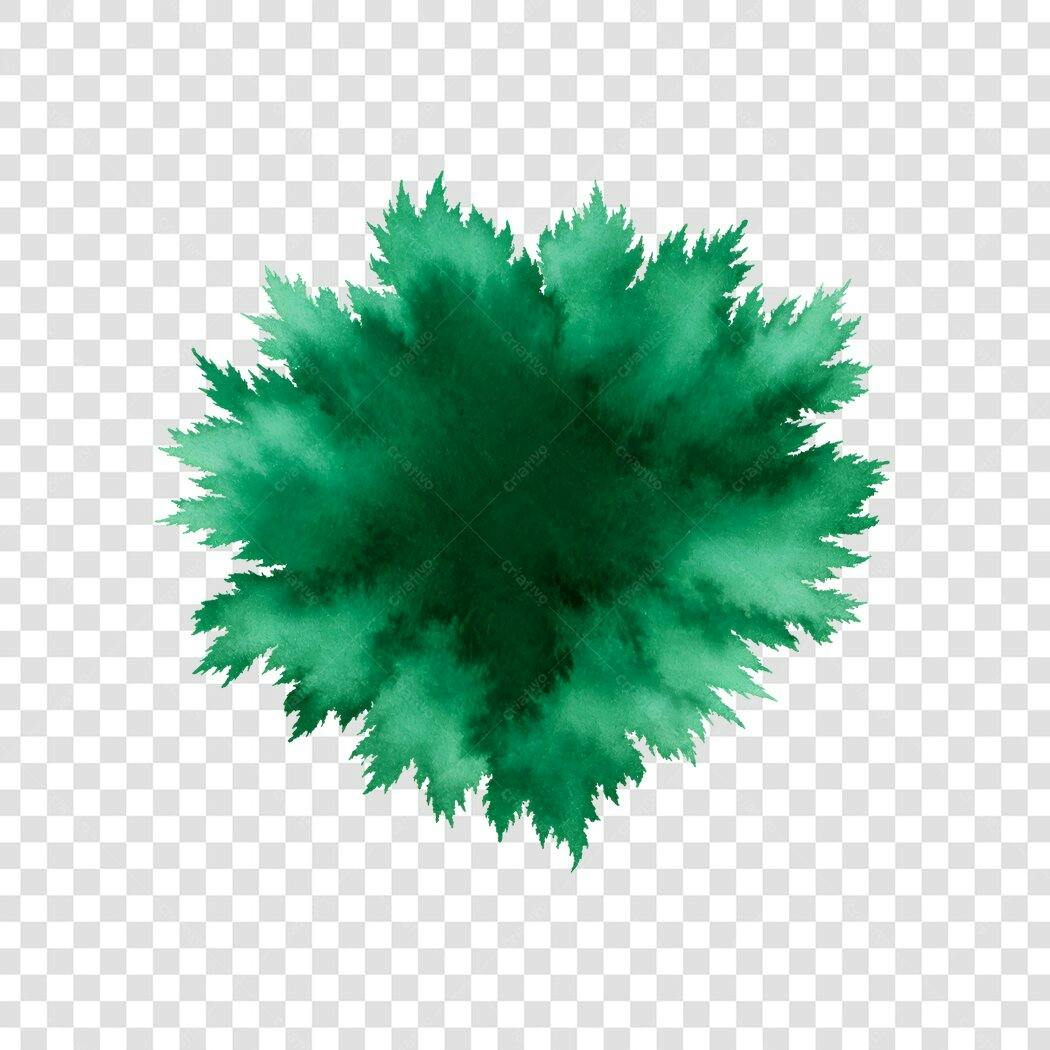 Ilustração Árvore Vista Superior Verde PNG Fundo Transparente