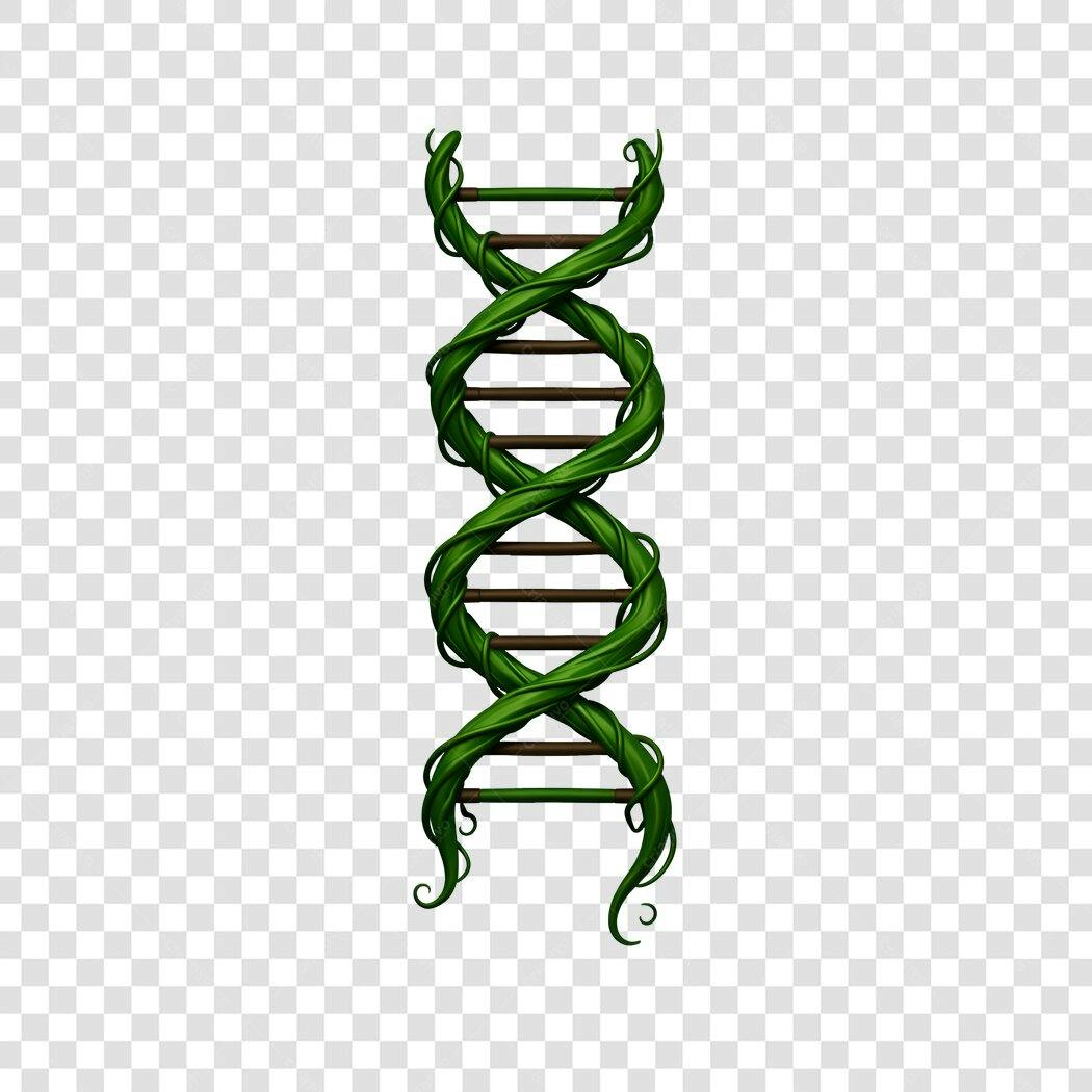 Ilustração DNA Hélice Verde Natureza PNG Fundo Transparente