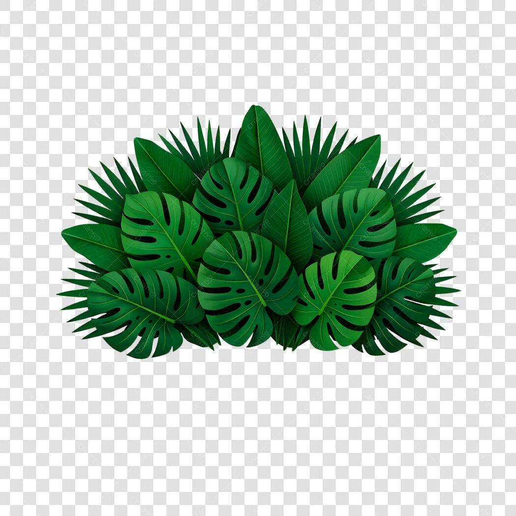 Ilustração Folhas Tropicais Verdes PNG Fundo Transparente