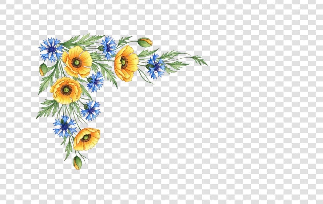 Clipart Floral Aquarela Amarelo Azul PNG Fundo Transparente