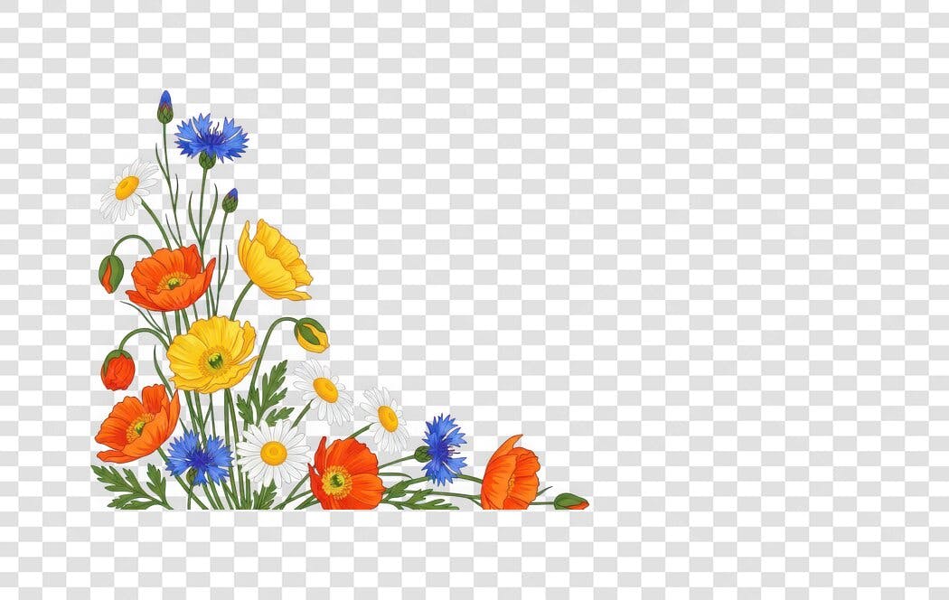 Clipart Flores Campestres Margaridas Papoulas PNG Fundo Transparente