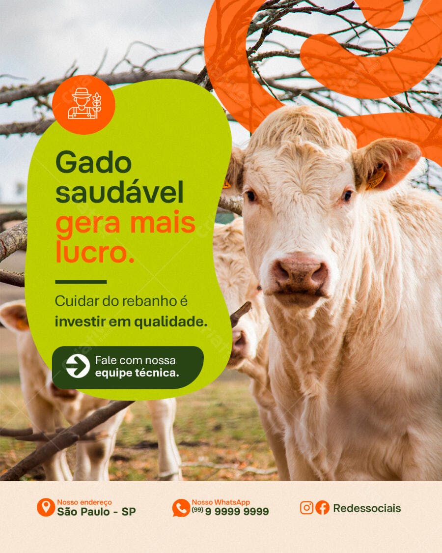 Post Instagram Gado Pecuária Agronegócio PSD Editável