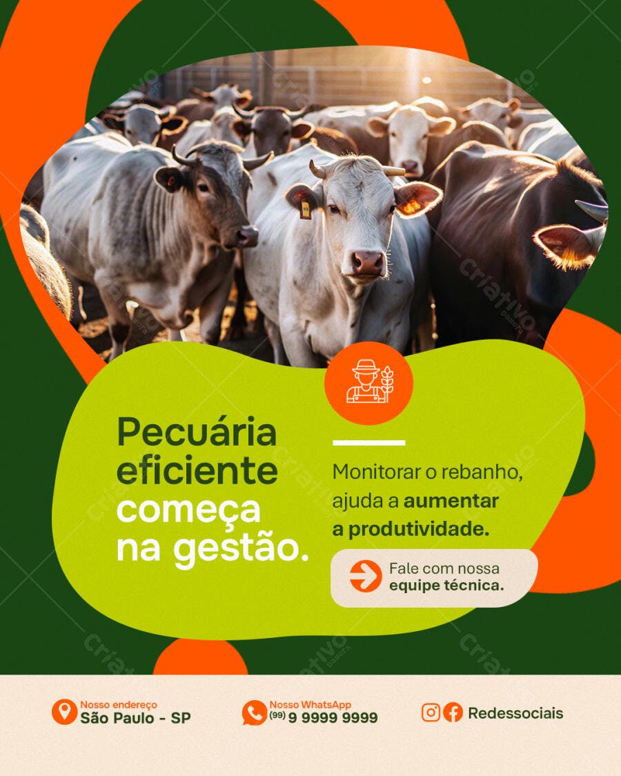 Post Instagram Pecuária Rural Agronegócio PSD Editável