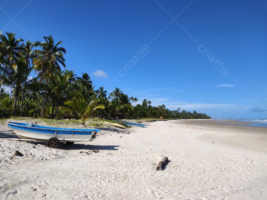 Foto Praia Tropical Barco na Areia Coqueiros Céu Azul Verão