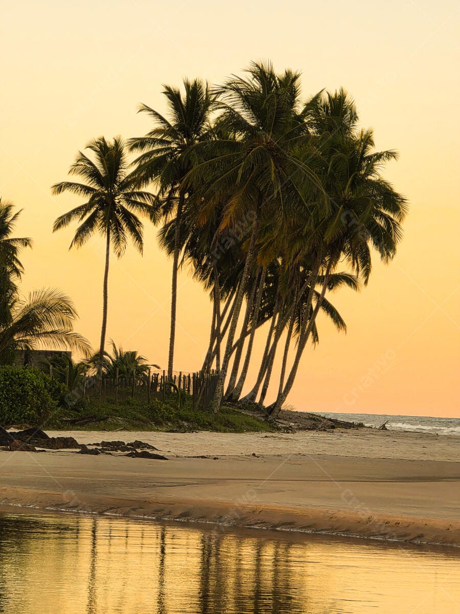 Foto Coqueiros Praia Tropical Pôr do Sol Dourado Verão
