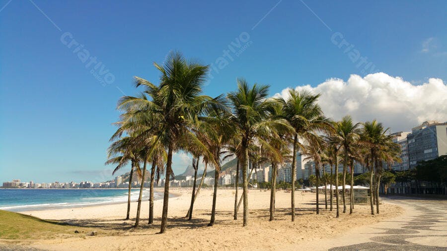 Foto Praia Copacabana Rio de Janeiro Coqueiros Céu Azul