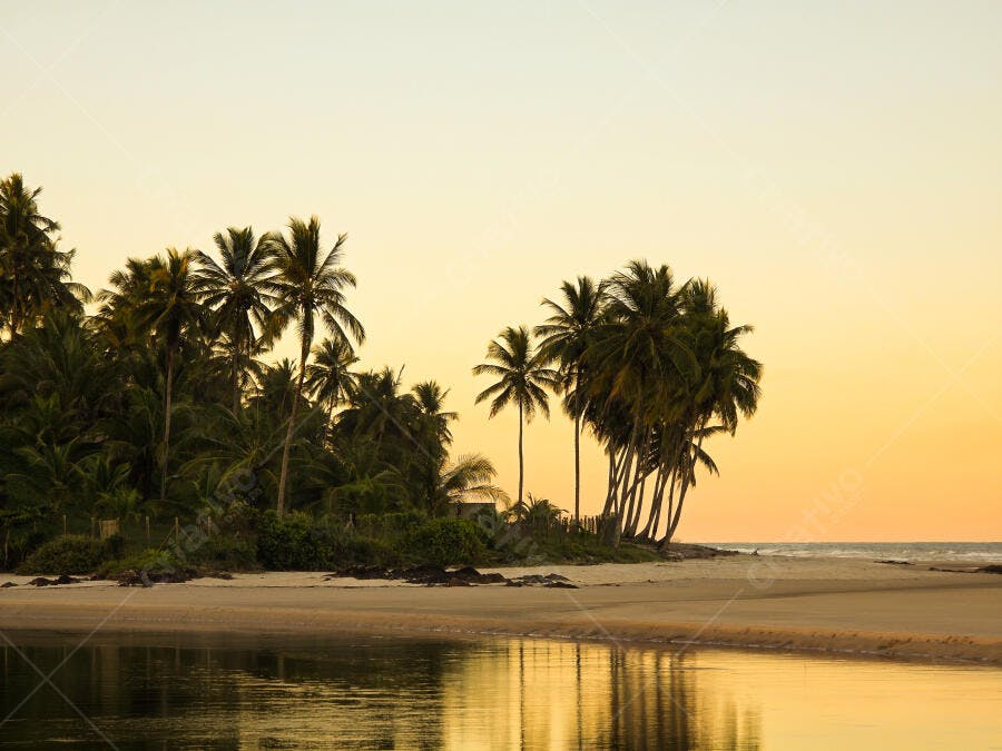 Foto Praia Tropical Coqueiros Pôr do Sol Dourado Mar