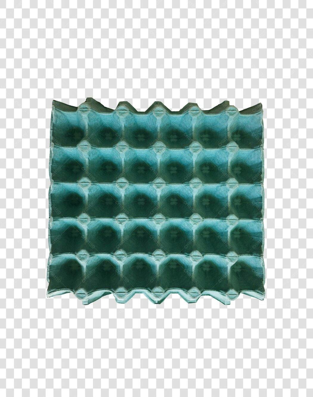 Foto Recortada Bandeja de Ovos Verde PNG Fundo Transparente