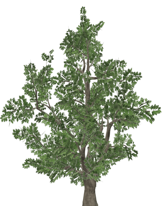 Abanos For Technology Contributor Profile Bubble Abanos For Technology Contributor Profile Bubble