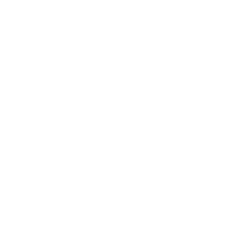 Record MT