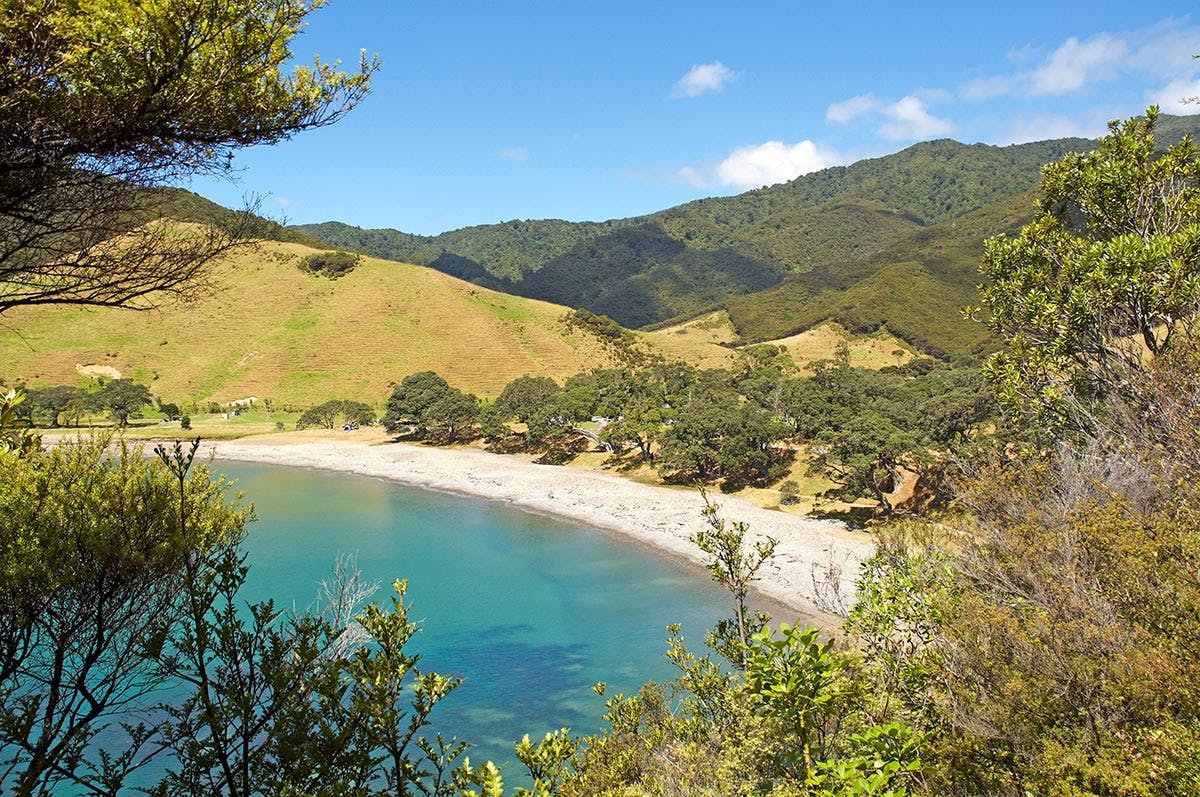 Fletcher Bay Campsite Fletcher Bay Camping Tentopia