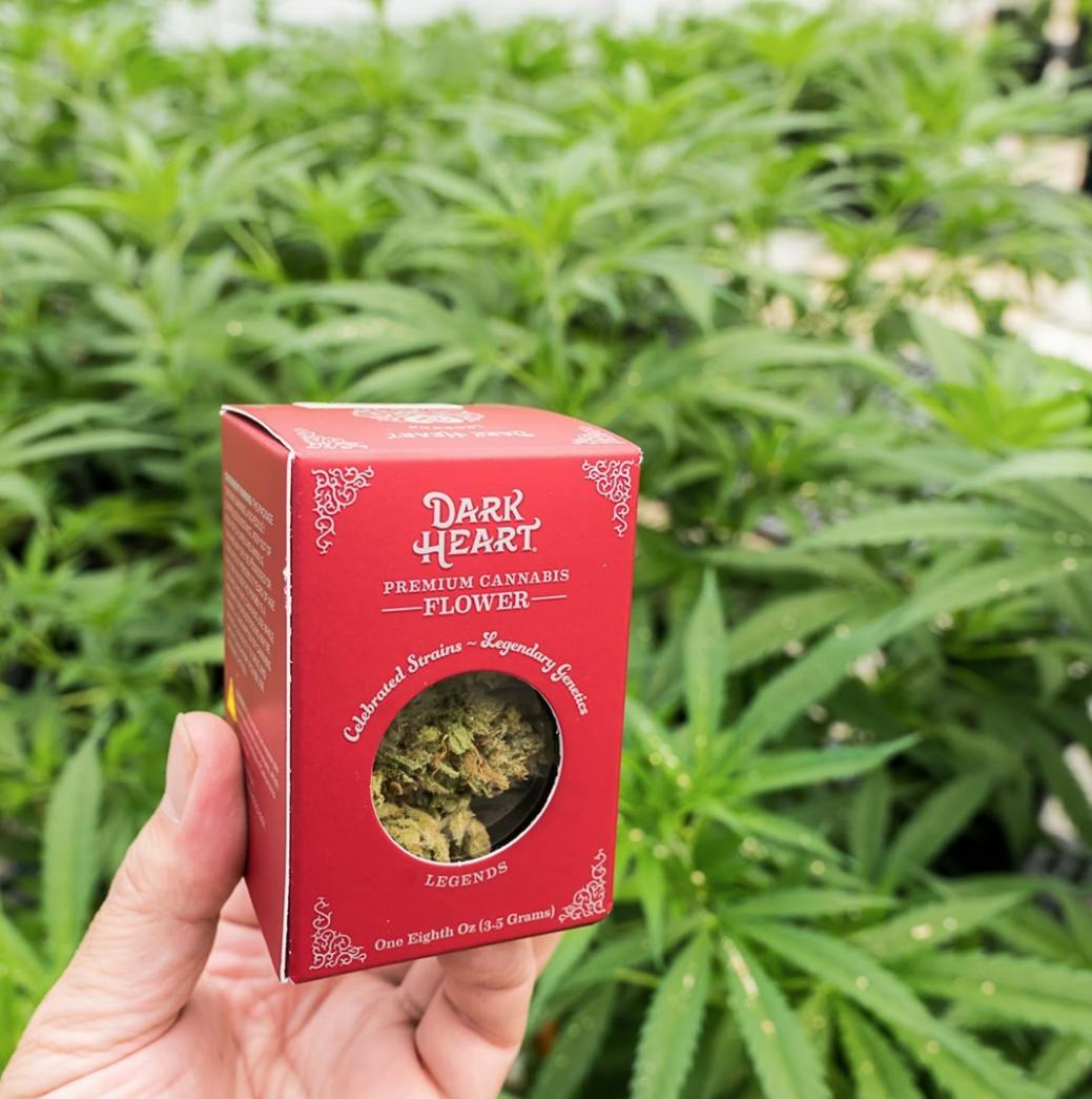 From Dark Heart Nursery, California's clone source DARK HEART CANNABIS