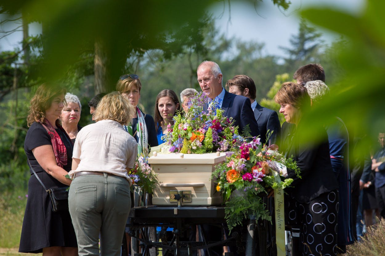 Friesland AndersAfscheidNemen