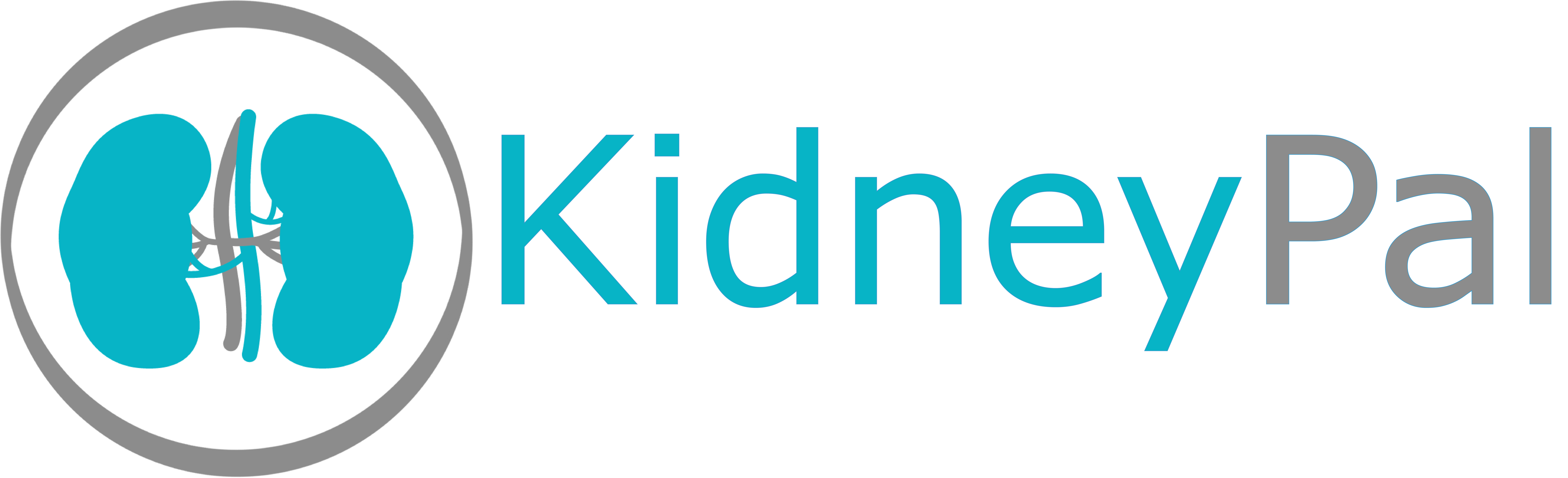 support-groups-and-tools-for-kidney-disease-kidneypal