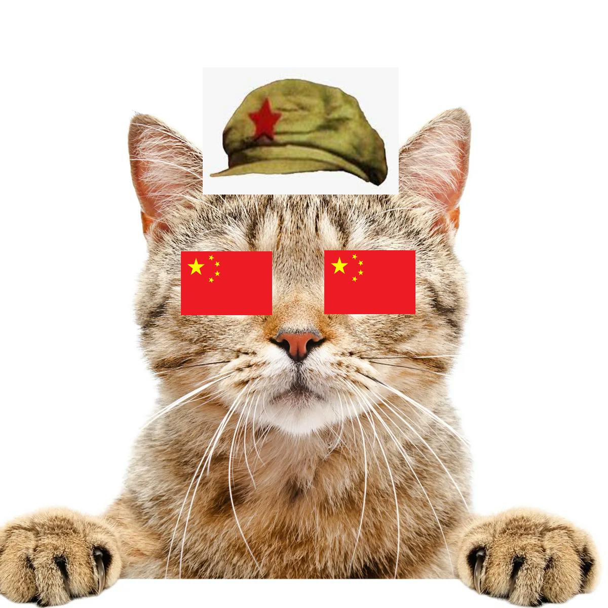 Chinese Cat Respublica