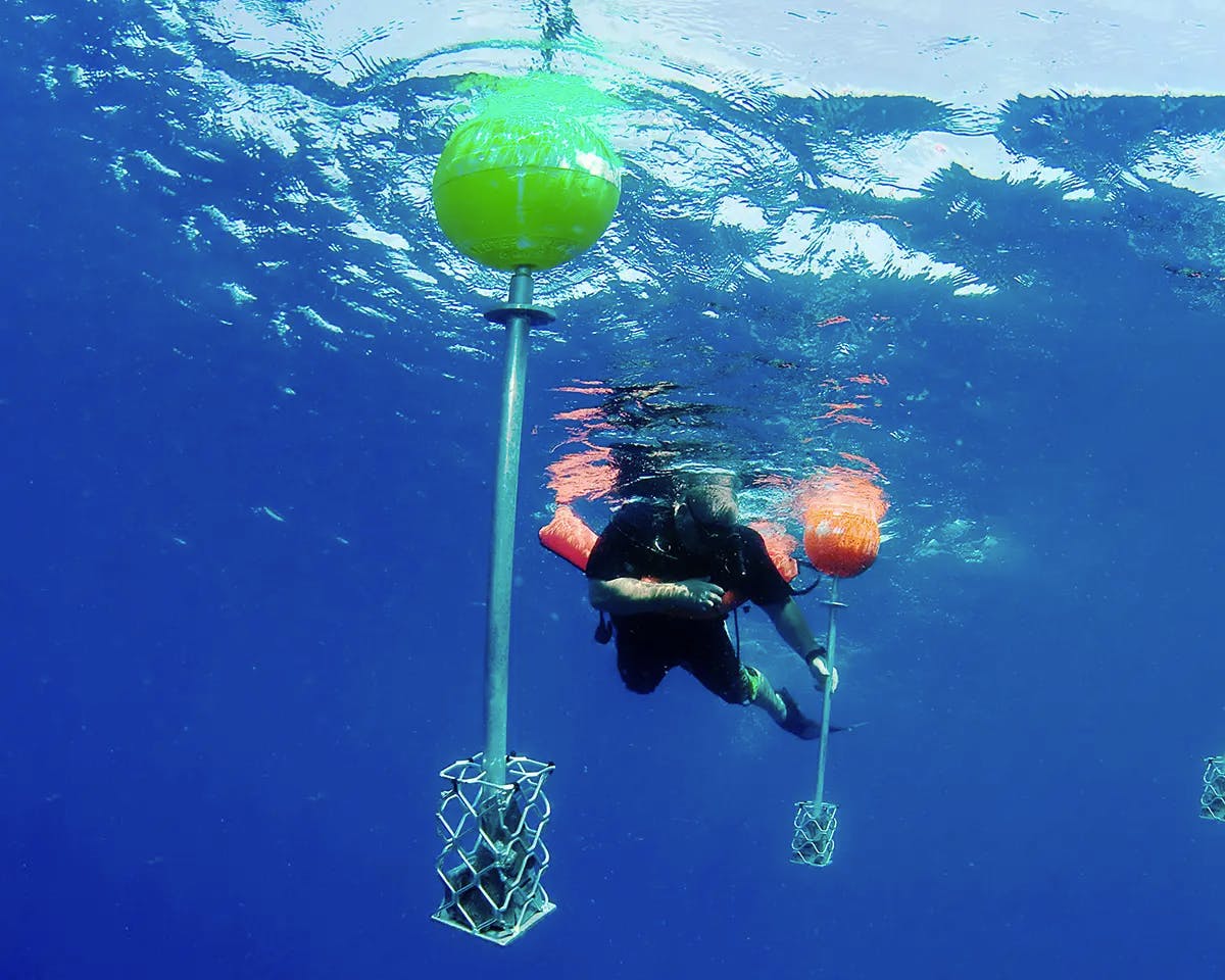 Using buoys to find missing SCUBA and freedivers Dive Pacific