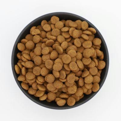 What You Must Know About Packaged Dog Food (Dry Food or Kibble)
